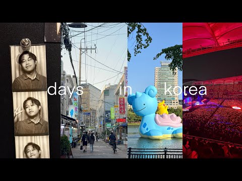 my holiday as an exchange student in south korea