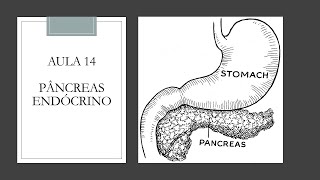 Videoaula 14 Pâncreas endócrino