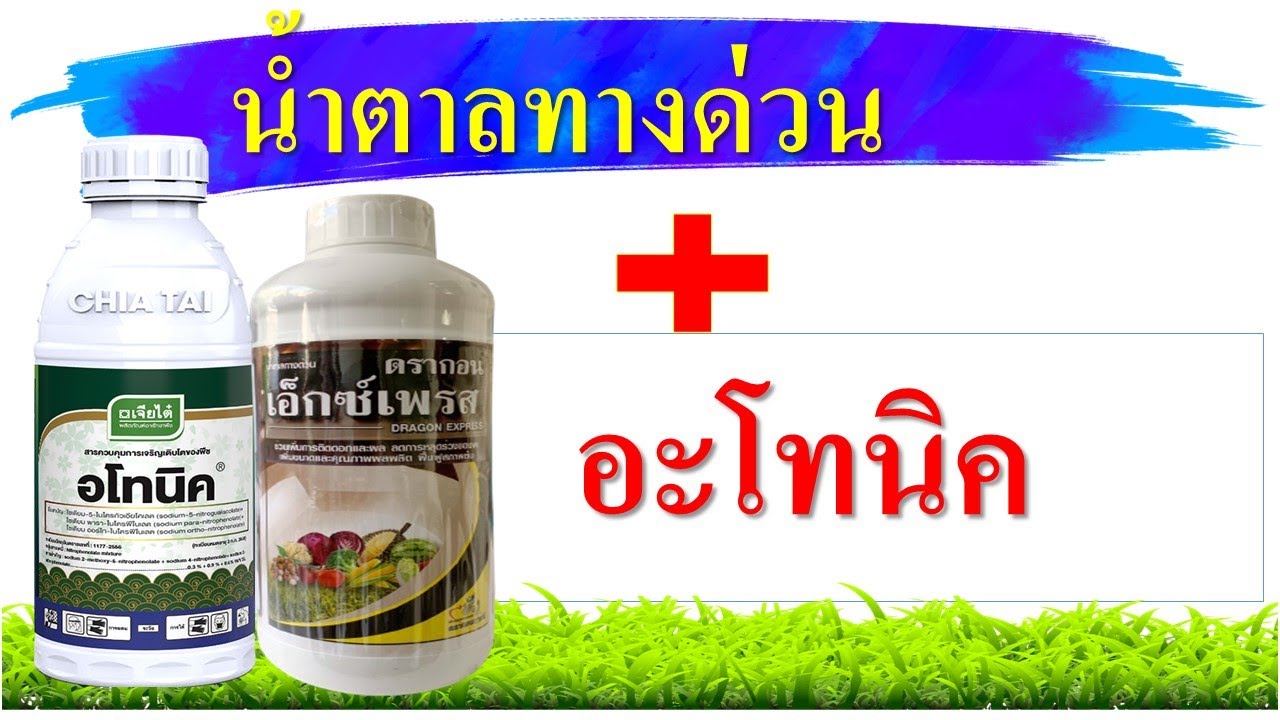 คลิปรวม...เรื่องน้ำตาลทางด่วน และ อโทนิค สารเร่งโตพืช