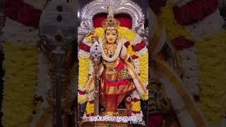 சரவண பவ  #முருகன் #god #devine #temple  #hindupilgrimage