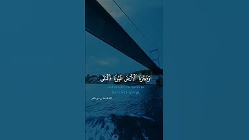#فارس_عباد #تلاوات #القرآن_الكريم #quran #ايات_من_القران #تلاوة #قرآن #تلاوة_خاشعة #القرآن #آيات