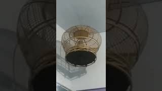 Tekukur/Dekukur Kuk 2 Paten