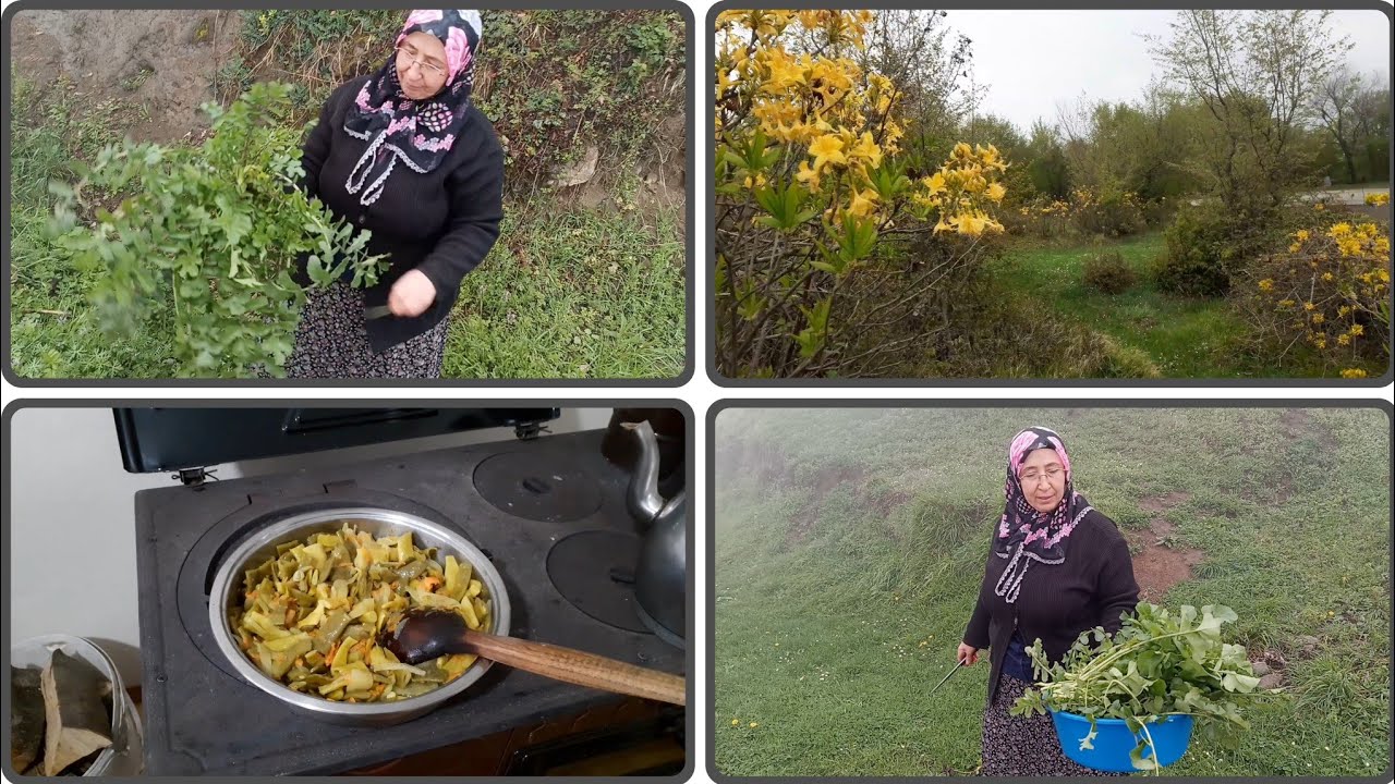 Dumanlı Karadeniz Dağları 🌫️🏔️ | Yenilebilir Yabani Otlar 🌿 | Doğa Manzara Günlük Vlog