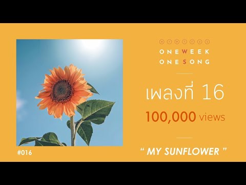 คอร์ด เนื้อเพลง เพลงที่ 16 [ My Sunflower ] One Week One Song chordlife
