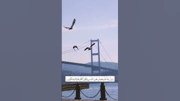 سورة النمل | ارح سمعك 🤍.