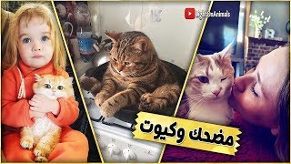 قطط مضحكة جداً - اضحك مع القطط حتي البكاء  (جديد 2019) #12