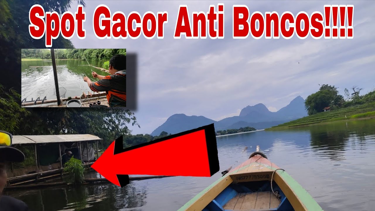 SPOT GACOR ANTI BONCOS ‼️ Mancing Jatiluhur Terbaru 