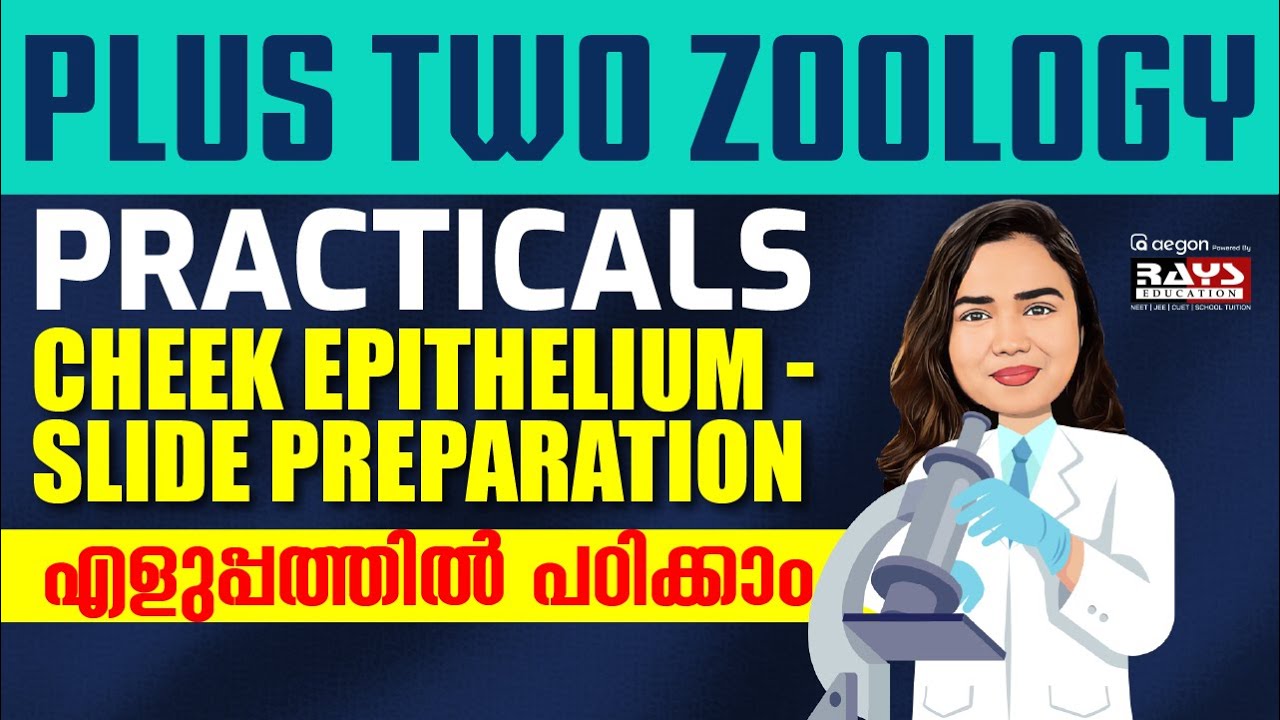 PLUS TWO ZOOLOGY PRACTICALS CHEEK EPITHELIUM - SLIDE PREPARATION എളുപ്പത്തിൽ പഠിക്കാം |RAYSEDUCATION
