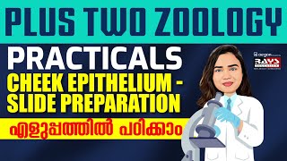 PLUS TWO ZOOLOGY PRACTICALS CHEEK EPITHELIUM - SLIDE PREPARATION എളുപ്പത്തിൽ പഠിക്കാം |RAYSEDUCATION