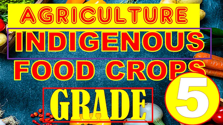 INDIGENOUS FOOD CROPS IN KENYA ||Traditional Food Crops in Kenya// AGRICULTURE GRADE 5 - DayDayNews
