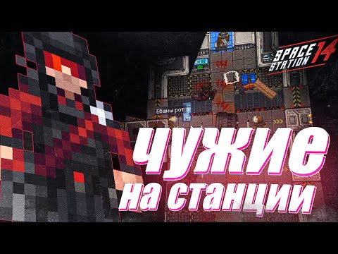 Видео: КСЕНОМОРФЫ ПРОТИВ ВСЕХ - SPACE STATION 14