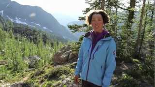 Helly Hansen Vanir Luster Pants Black Trekkinn