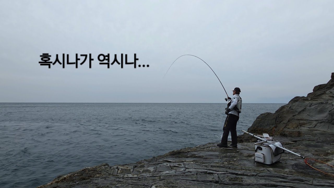 다시찾은 문섬.