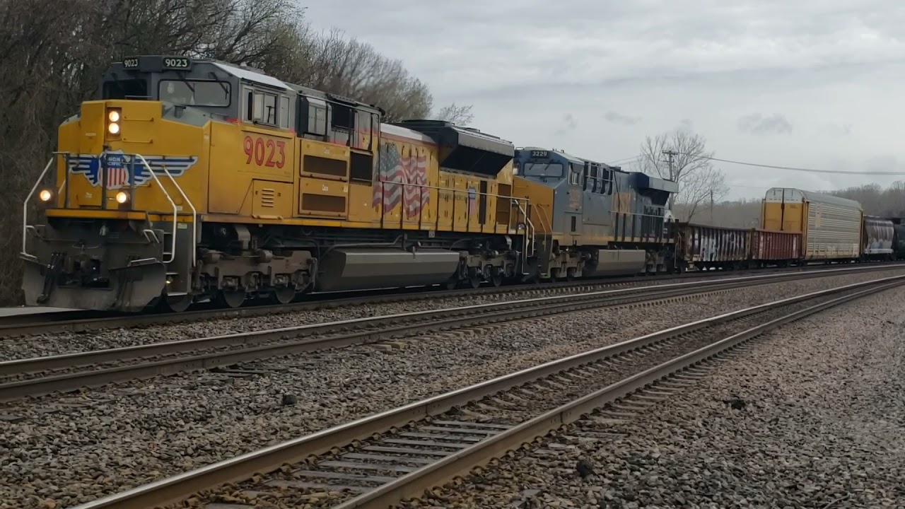 THE RETURN OF THE K5LLA! K5LLA horn catches around the area!