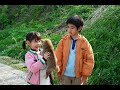 映画『マリと子犬の物語』予告 出演:船越英一郎/松本明子