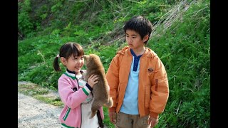 映画『マリと子犬の物語』予告編 映画『マリと子犬の物語』予告編