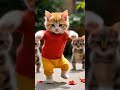 cute cat dancing my love is only you 😍🤩 #cute #cat