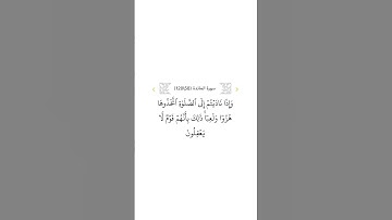 سورة المائدة ٥٨