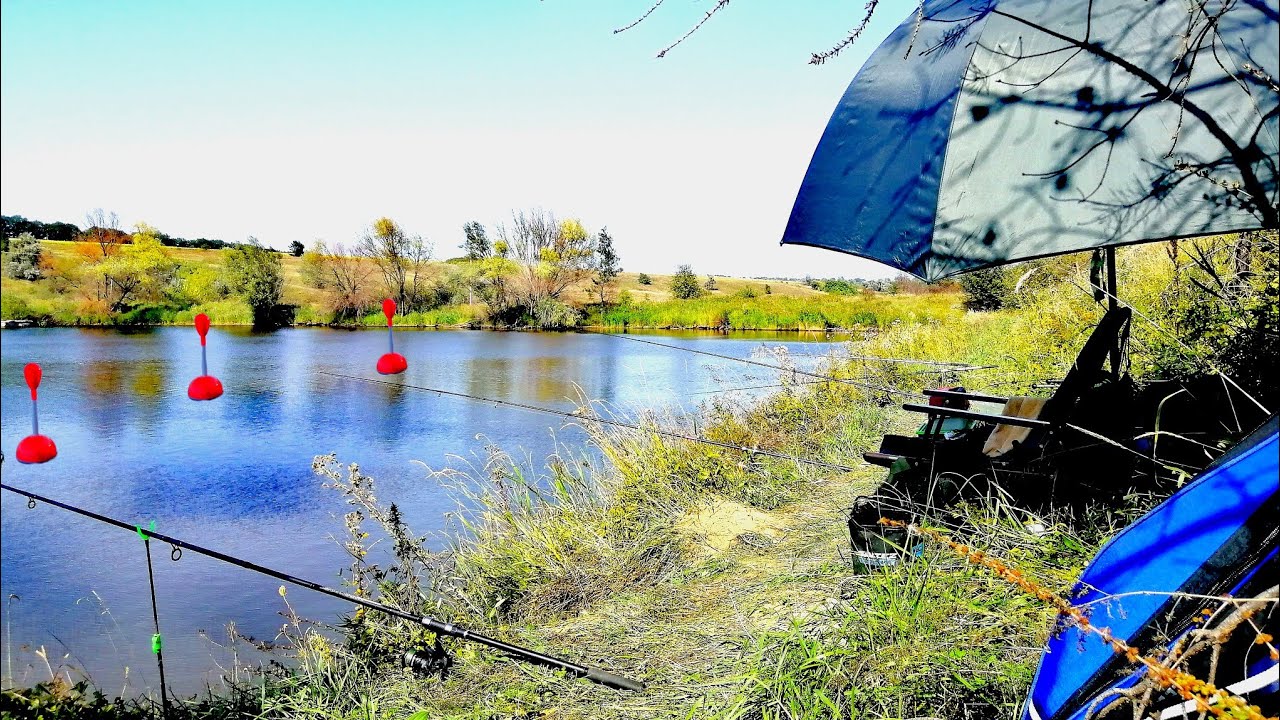 Ця оснастка на товстолоба врятувала рибалку/Рибалка на товстолоба та коропа 