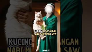 Kisah muezza kucing istimewa nabi muhammad saw #bersama_rasulullah #nabimuhammad#kucing #kisahislami