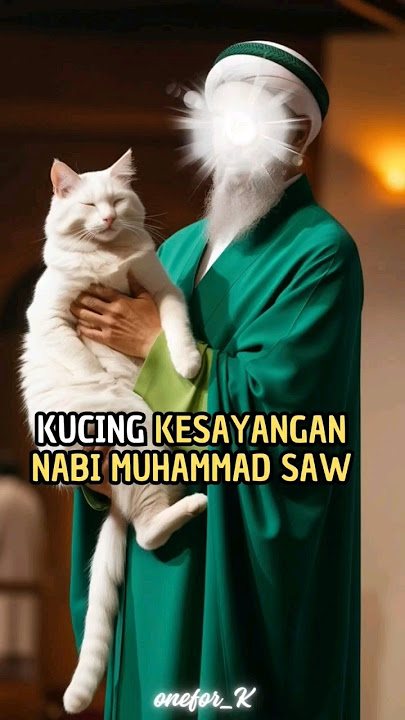 Kisah muezza kucing istimewa nabi muhammad saw #bersama_rasulullah #nabimuhammad#kucing #kisahislami