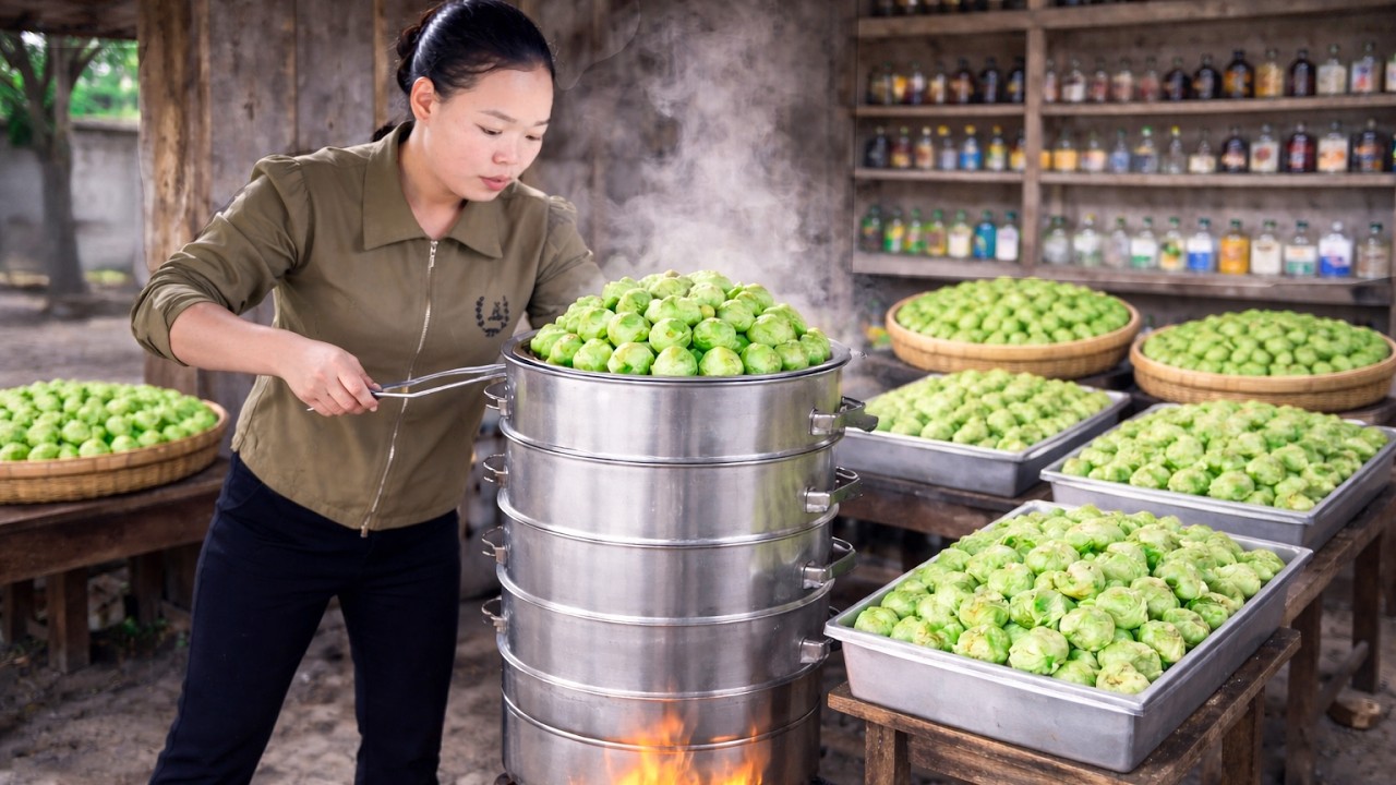 Vegetable Recipe: How to Make Fresh Steamed Cabbage Rolls to Sell at Market | Cooking and Harvesting