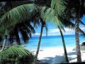 Hawaiian Christmas Song (Mele Kalikimaka) - Bing Crosby