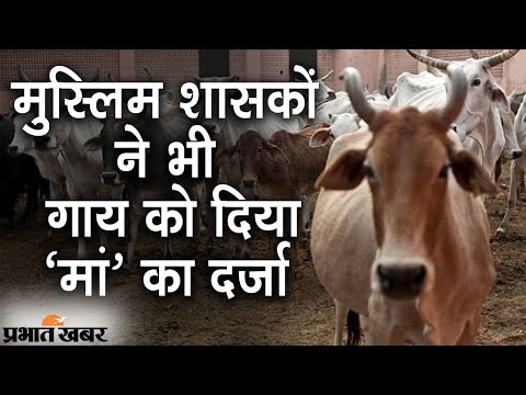 Allahabad High Court Cow Slaughter: Muslim Rulers ने भी Cow को दिया Mother का दर्जा | Prabhat Khabar
