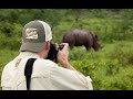 Daily Dose of Nature | Photography Lessons for African Safaris