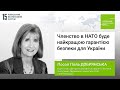 Членство в НАТО буде найкращою гарантією безпеки для України, – віце-голова Центру Скаукрофта