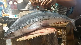 Amazing King Fish Cutting Skills Live In Bd Fish Market By Expert Fish Cutter