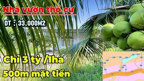 “Nhà vườn thổ cư 3,3ha – Mặt tiền dài 500m – Cơ hội đầu tư quá ngon!” Quy hoạch đất ONT lớn ….