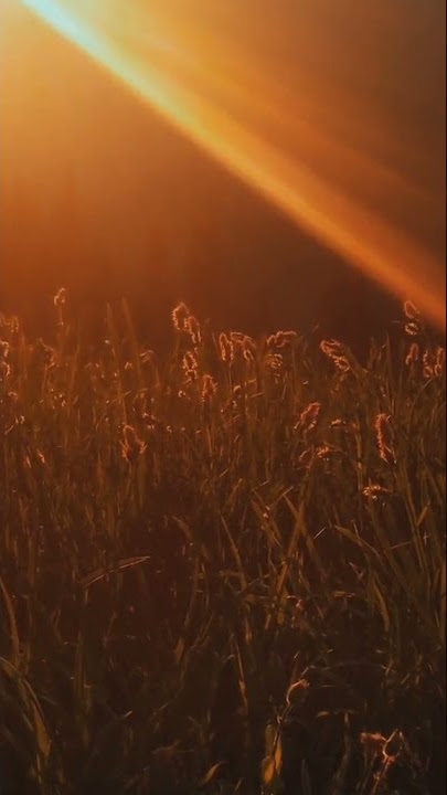 golden hour     tiktok  asyavlade