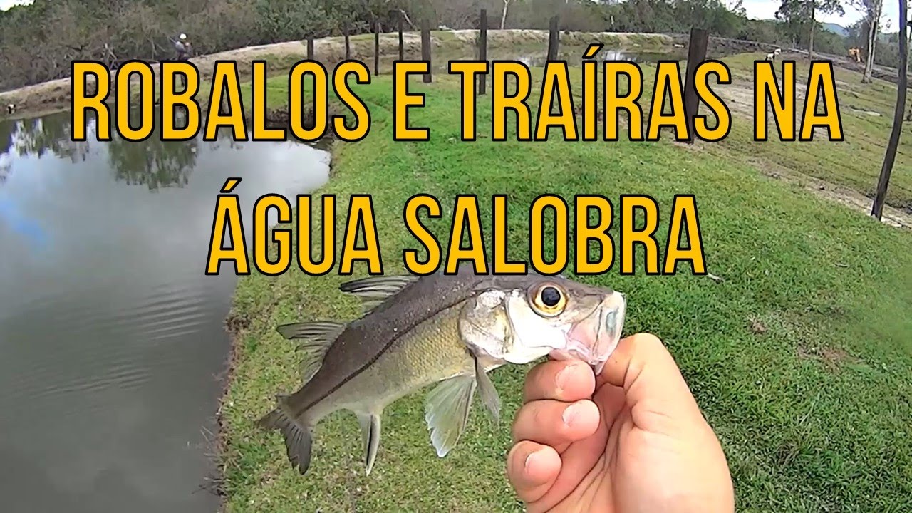 O Que é água Salobra EDUBRAINAZ O Que é água Salobra EDUBRAINAZ
