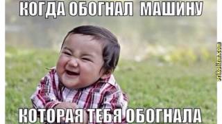 Прикольные фото приколы с животными, прикольными овощами и девушками Прикольные фото приколы с животными, прикольными овощами и девушками