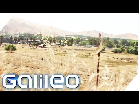 Video: Was ist ein altbackenes Vergehen in Kalifornien?