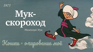 Мук - скороход. Кошки - очарование моё.