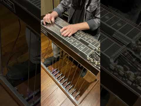 Pedal Steel Guitar
