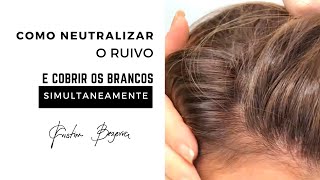 Como Neutralizar o Ruivo e Cobrir os Brancos Simultaneamente