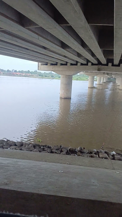 Spot mancing bawah jembatan kretek 2#shortvideo #viralvideo #mancing #petualang