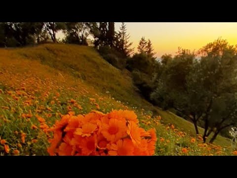 مرحبابيكوم علا هدا البت المحترم من مدينت تاونات