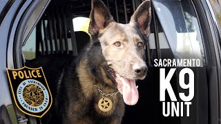 Join SacPD: The K9 Unit