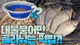 큰 붕어만 선별해주는 떡밥 공개!!