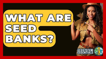 What Are Seed Banks? - Ecosystem Essentials