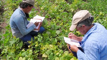 1 - Improve your farming with tricot: Triadic comparisons of technologies