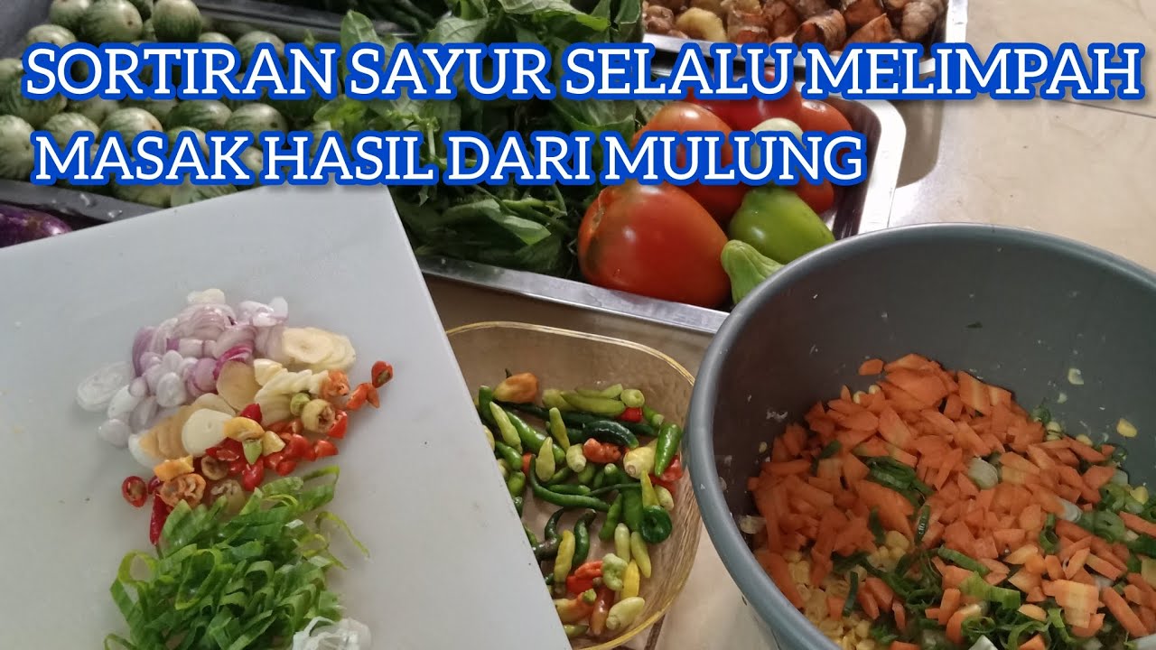 DAPET SAYURAN NYA SECARA GRATIS 0% HASILNYA BIKIN PEYUT SELALU KENYANG ☺️😄