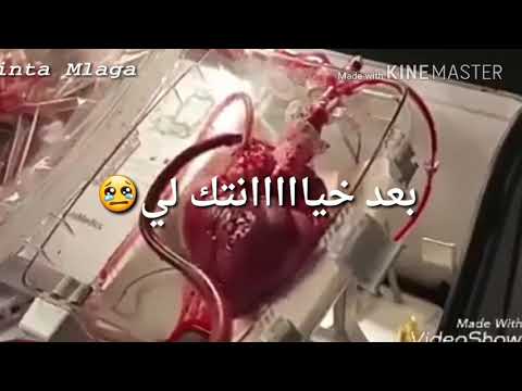 حالات واتس احمد الصادق ربي ياخدك