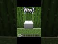 Why? #minecraft #gaming #trending