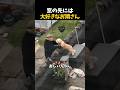 【感動】ただ会いたくて、毎日待ち続けるワンちゃん