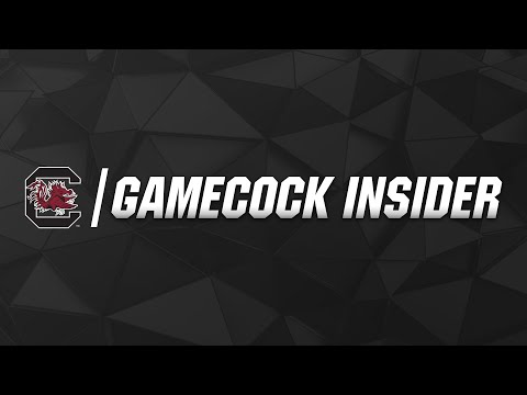 Vidéo: La Gamme Gamecock En Détail